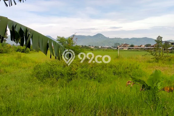 Tanah Dijual Lokasi Katapang, Bandung dengan Luas Tanah 10700m2 dan Status - Tanah Dijual Lokasi Katapang, Bandung dengan Luas Tanah 10700m2 dan Status -