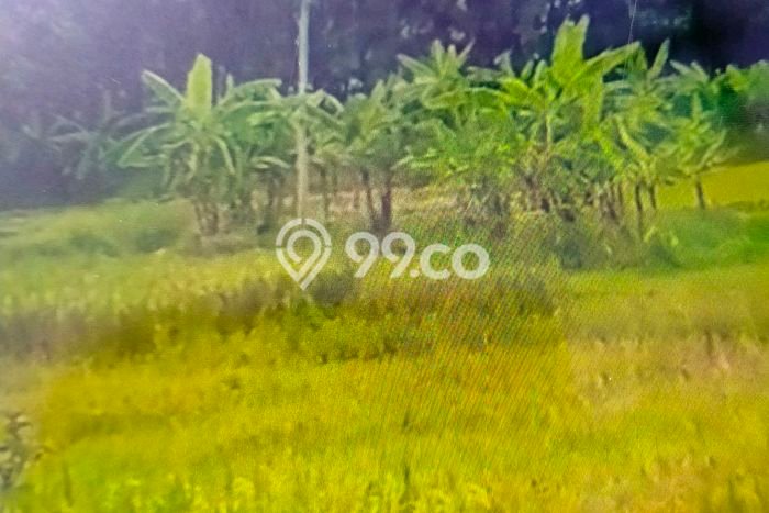 Kavling Tanah Dijual di Tegal Selatan, Tegal, Luas 120000m2 Area Strategis Kavling Tanah Dijual di Tegal Selatan, Tegal, Luas 120000m2 Area Strategis