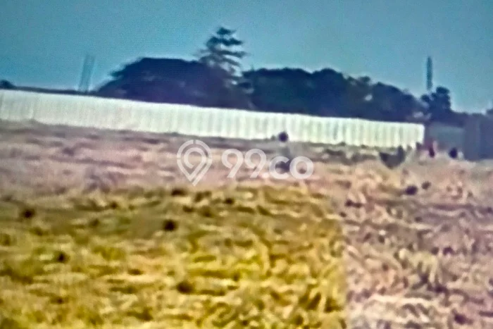 Tanah di Tanjung, Brebes Luas 52000m2 Dijual Segera Tanah di Tanjung, Brebes Luas 52000m2 Dijual Segera
