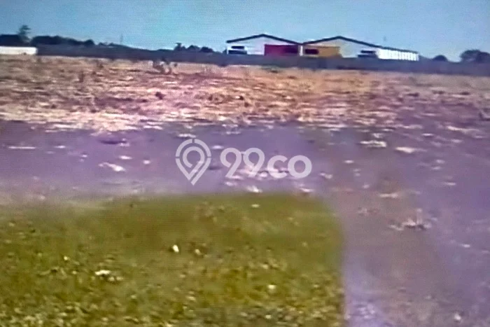 Tanah di Tanjung, Brebes Luas 52000m2 Dijual Segera Tanah di Tanjung, Brebes Luas 52000m2 Dijual Segera