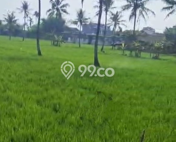 Tanah Kavling Dijual di Bandung dengan Spesifikasi 35000m2 Tanah Kavling Dijual di Bandung dengan Spesifikasi 35000m2