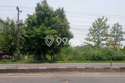 Tanah Dijual Lokasi Losari, Brebes dengan Luas Tanah 100000m2 dan Status - Tanah Dijual Lokasi Losari, Brebes dengan Luas Tanah 100000m2 dan Status -
