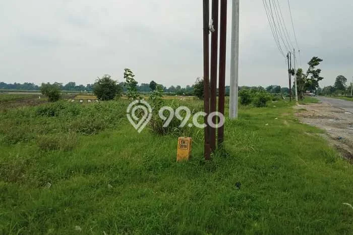 Tanah untuk Dijual di Brebes Brebes Luas 50000m2 Tanah untuk Dijual di Brebes Brebes Luas 50000m2