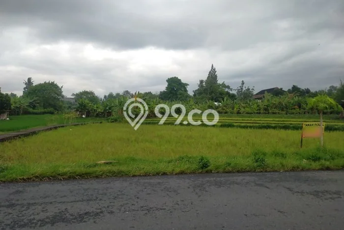 Untuk Dijual Tanah di Yogyakarta, Luas 765m2 SHM Untuk Dijual Tanah di Yogyakarta, Luas 765m2 SHM