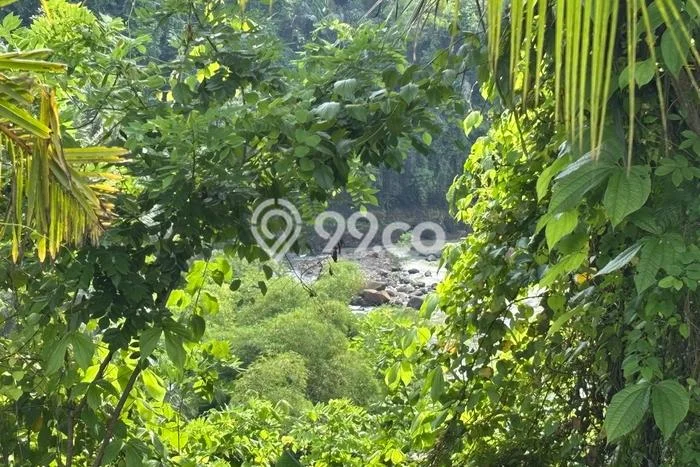 Tanah Dijual di Tabanan Seluas 1350m2 Strategis Tanah Dijual di Tabanan Seluas 1350m2 Strategis