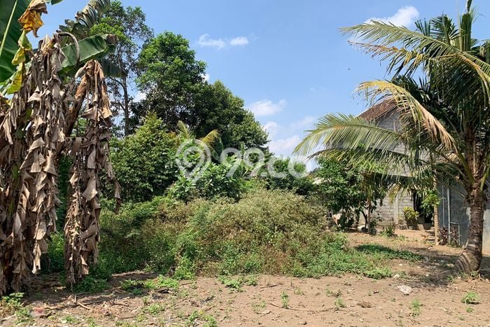 Rumah Lokasi Strategis di Ngaglik, Sleman, LT 113m2m² LB 50m2m² Rumah Lokasi Strategis di Ngaglik, Sleman, LT 113m2m² LB 50m2m²