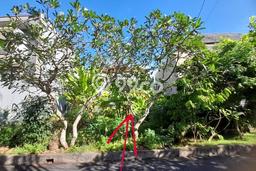 Tanah Dijual di Badung Seluas 144m2 Strategis Tanah Dijual di Badung Seluas 144m2 Strategis