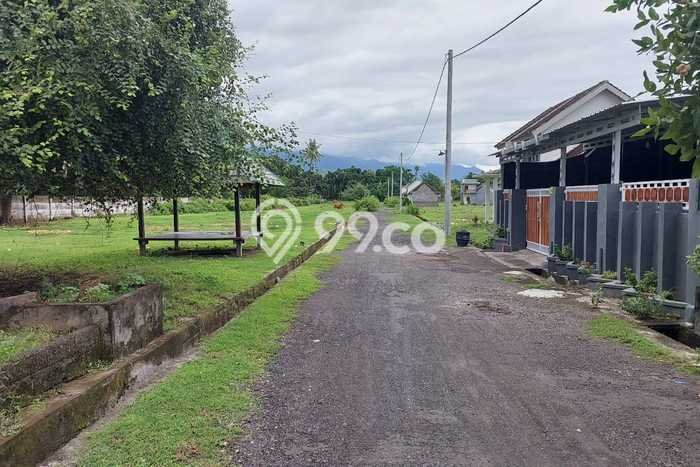 Untuk Dijual Tanah di Gerokgak Buleleng Luas 200m2 SHM Untuk Dijual Tanah di Gerokgak Buleleng Luas 200m2 SHM