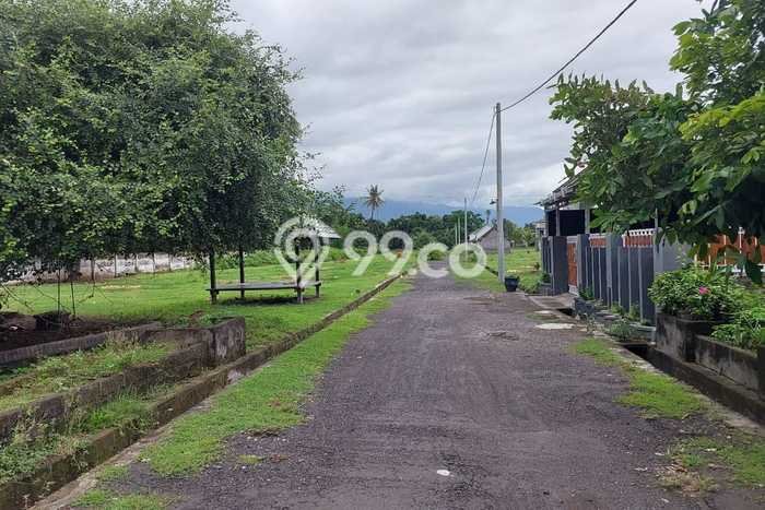 Untuk Dijual Tanah di Gerokgak Buleleng Luas 200m2 SHM Untuk Dijual Tanah di Gerokgak Buleleng Luas 200m2 SHM