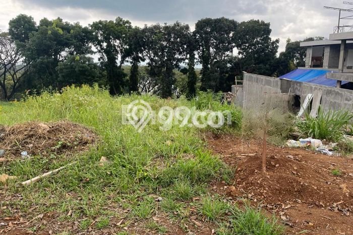 Tanah untuk Dijual di Prigen Pasuruan Luas 1310m2 Tanah untuk Dijual di Prigen Pasuruan Luas 1310m2