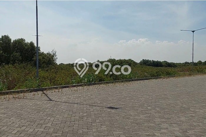 Tanah Dijual Lokasi Manyar, Gresik Luas 1000m2 Legalitas Aman Tanah Dijual Lokasi Manyar, Gresik Luas 1000m2 Legalitas Aman