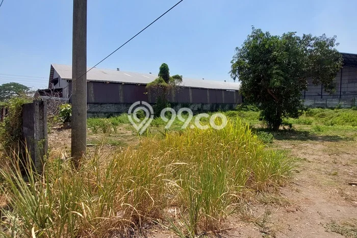 Lahan untuk Dijual di Kedamean Gresik Luas 2500m2 Lahan untuk Dijual di Kedamean Gresik Luas 2500m2