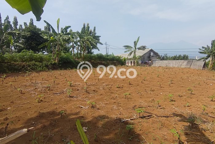 Lahan Kosong Dijual di Bogor Selatan, Bogor, Luas 2625m2 Area Strategis Lahan Kosong Dijual di Bogor Selatan, Bogor, Luas 2625m2 Area Strategis