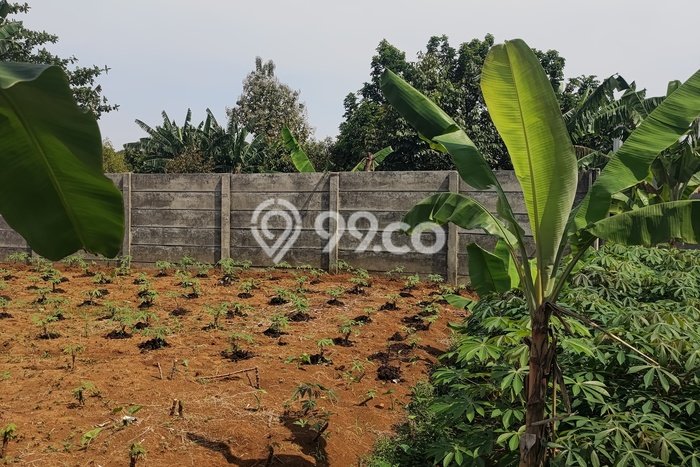 Lahan Kosong Dijual di Bogor Selatan, Bogor, Luas 2625m2 Area Strategis Lahan Kosong Dijual di Bogor Selatan, Bogor, Luas 2625m2 Area Strategis