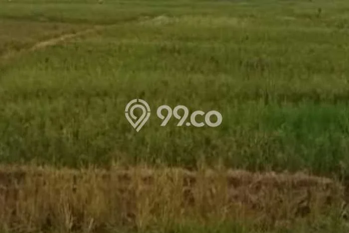 Tanah Kosong Dijual di Bekasi dengan Area 1e+07m2 Tanah Kosong Dijual di Bekasi dengan Area 1e+07m2