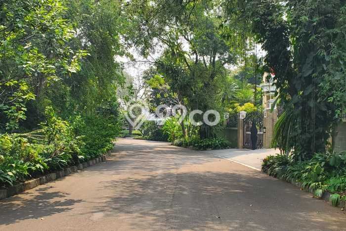 Dijual Tanah Lokasi Pajajaran, Bogor Seluas 745m2 Dijual Tanah Lokasi Pajajaran, Bogor Seluas 745m2