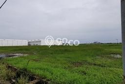 Kavling Tanah Dijual di Pakuhaji Tangerang Spesifikasi 3720m2 Kavling Tanah Dijual di Pakuhaji Tangerang Spesifikasi 3720m2