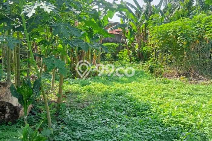 Kavling Tanah di Balapulang Dijual Luas 2500m2 Legalitas SHM Kavling Tanah di Balapulang Dijual Luas 2500m2 Legalitas SHM