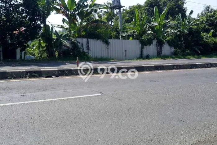 Lahan untuk Dijual Lokasi Warureja, Tegal Luas 12000m2 - Lahan untuk Dijual Lokasi Warureja, Tegal Luas 12000m2 -