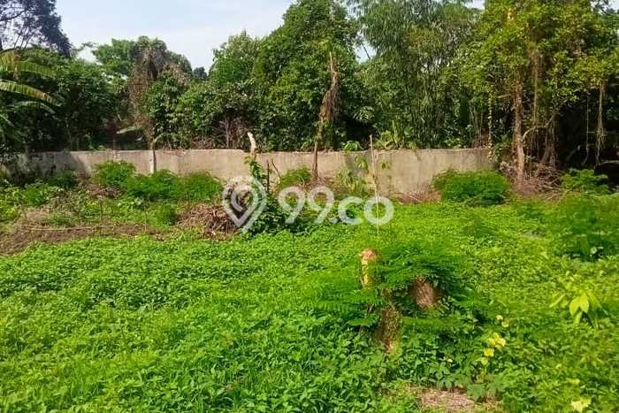 Kavling Tanah di Balapulang Dijual Luas 2500m2 Legalitas SHM Kavling Tanah di Balapulang Dijual Luas 2500m2 Legalitas SHM