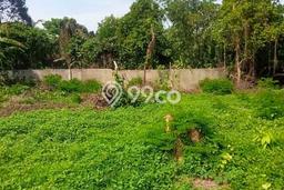 Kavling Tanah di Balapulang Dijual Luas 2500m2 Legalitas SHM Kavling Tanah di Balapulang Dijual Luas 2500m2 Legalitas SHM