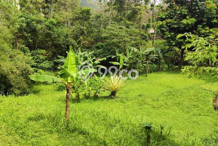 Tanah Dijual Lokasi Caringin, Bogor Luas 7500m2 Legalitas Aman Tanah Dijual Lokasi Caringin, Bogor Luas 7500m2 Legalitas Aman