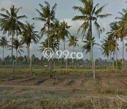 Dijual Tanah di Cigugur Pangandaran Luas 10000m2 - Dijual Tanah di Cigugur Pangandaran Luas 10000m2 -