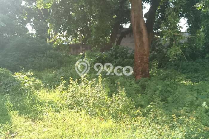 Untuk Dijual Tanah di Buleleng, Luas 340m2 SHM Untuk Dijual Tanah di Buleleng, Luas 340m2 SHM