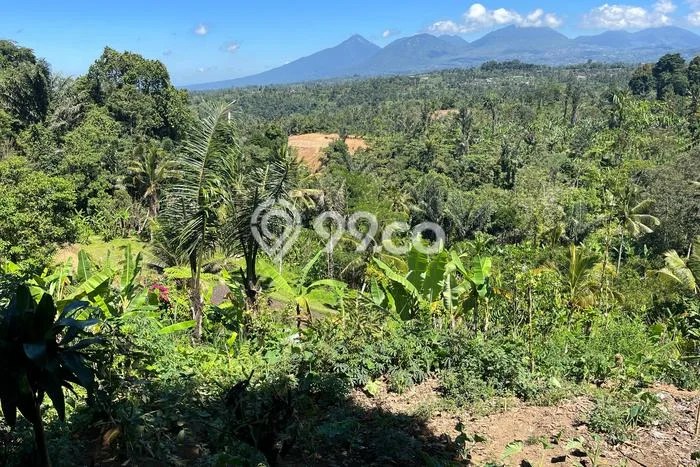 Lahan Investasi Lokasi Payangan Gianyar SHM Lahan Investasi Lokasi Payangan Gianyar SHM