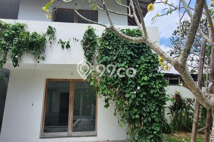 Hunian Modern Disewakan di canggu Badung 4 KT & 4 KM Hunian Modern Disewakan di canggu Badung 4 KT & 4 KM