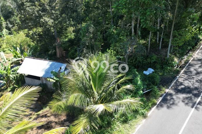 Lahan Investasi Lokasi Payangan Gianyar SHM Lahan Investasi Lokasi Payangan Gianyar SHM