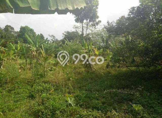 Tanah Kavling untuk Dijual di Curug Serang 5349m2 Tanah Kavling untuk Dijual di Curug Serang 5349m2