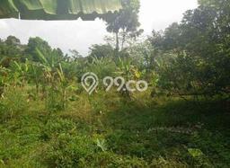 Tanah Kavling untuk Dijual di Curug Serang 5349m2 Tanah Kavling untuk Dijual di Curug Serang 5349m2