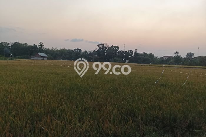 Tanah Kavling Dijual di Kendal dengan Spesifikasi 657m2 Tanah Kavling Dijual di Kendal dengan Spesifikasi 657m2
