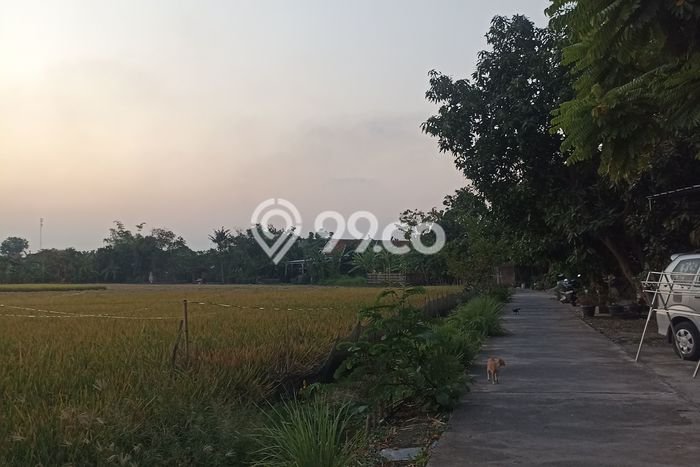 Tanah Kavling Dijual di Kendal dengan Spesifikasi 657m2 Tanah Kavling Dijual di Kendal dengan Spesifikasi 657m2
