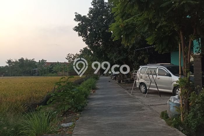 Tanah Kavling Dijual di Kendal dengan Spesifikasi 657m2 Tanah Kavling Dijual di Kendal dengan Spesifikasi 657m2