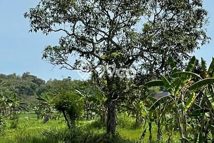 Dijual Tanah Lokasi Gresik Kota, Gresik Seluas 4940m2 Dijual Tanah Lokasi Gresik Kota, Gresik Seluas 4940m2