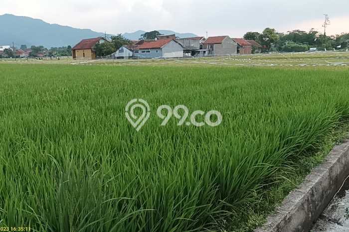 Tanah di Bojongsoang, Bandung Luas 2464m2 Dijual Segera Tanah di Bojongsoang, Bandung Luas 2464m2 Dijual Segera