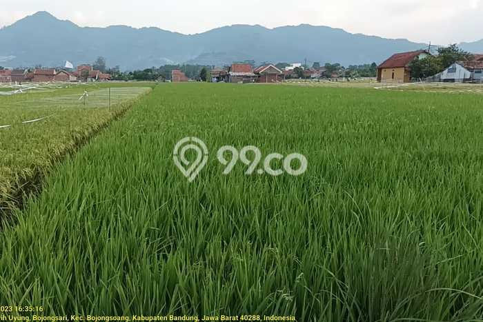 Tanah di Bojongsoang, Bandung Luas 2464m2 Dijual Segera Tanah di Bojongsoang, Bandung Luas 2464m2 Dijual Segera