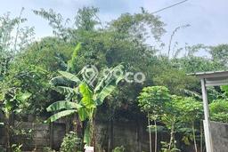 Lahan Kosong Dijual di Rumpin, Bogor, Luas 143m2 Area Strategis Lahan Kosong Dijual di Rumpin, Bogor, Luas 143m2 Area Strategis