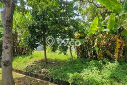 Tanah Kavling untuk Dijual di Pakuhaji Tangerang 2790m2 Tanah Kavling untuk Dijual di Pakuhaji Tangerang 2790m2