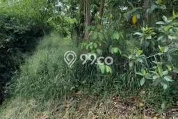 Tanah Kosong Dijual di Depok dengan Area 2000m2 Tanah Kosong Dijual di Depok dengan Area 2000m2