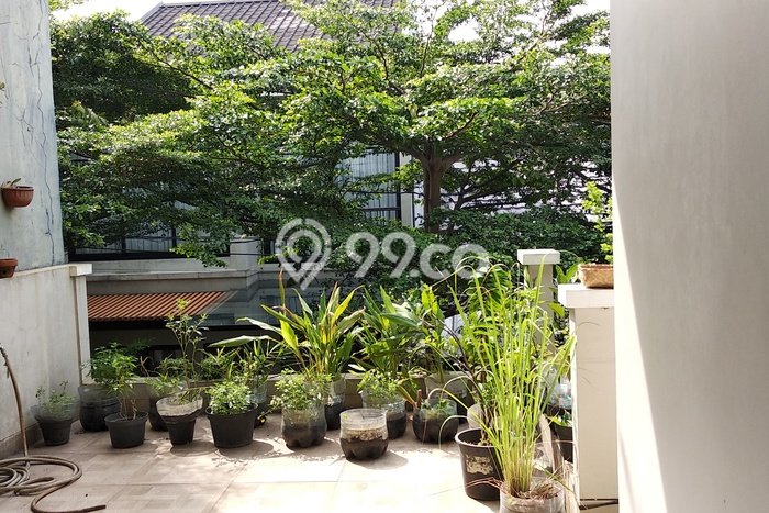 Jual Rumah Minimalis Bagus Punya 3 KT di Pamulang Tangerang Selatan SHM Jual Rumah Minimalis Bagus Punya 3 KT di Pamulang Tangerang Selatan SHM