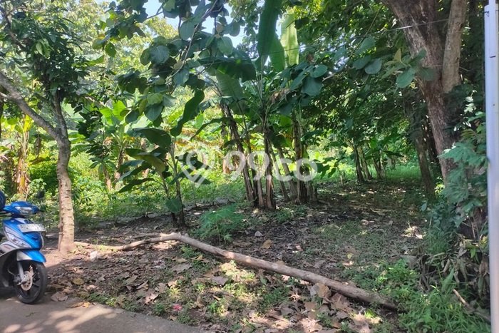 Kavling Tanah Dijual di Colomadu Karanganyar Spesifikasi 885m2 Kavling Tanah Dijual di Colomadu Karanganyar Spesifikasi 885m2