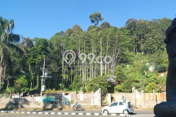 Tanah Kavling untuk Dijual di Ambarawa Ambarawa 4000m2 Tanah Kavling untuk Dijual di Ambarawa Ambarawa 4000m2