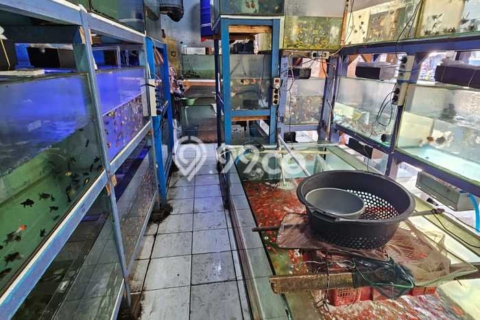 Paling Dicari! Ruko Dijual di Leuwi Panjang Harga Kompetitif Paling Dicari! Ruko Dijual di Leuwi Panjang Harga Kompetitif