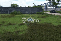 Tanah Kavling di Cikupa Dijual dengan Luas 6600m2 Tanah Kavling di Cikupa Dijual dengan Luas 6600m2