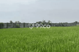 Untuk Dijual Tanah di Walantaka Serang Luas 16802m2 SHM Untuk Dijual Tanah di Walantaka Serang Luas 16802m2 SHM