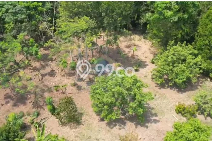 Tanah Kavling di Rangkasbitung Dijual dengan Luas 10000m2 Tanah Kavling di Rangkasbitung Dijual dengan Luas 10000m2