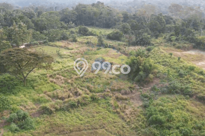 Kavling Tanah Dijual di Taktakan Serang Spesifikasi 150000m2 Kavling Tanah Dijual di Taktakan Serang Spesifikasi 150000m2